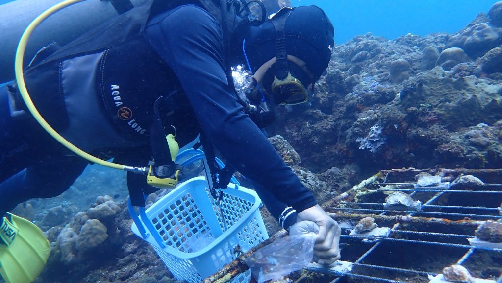 P7297339 Anten applying EKA glue to rectangular substrate before attaching coral fragments on top on coral nursery table Les Village east entry point PHOTO Low Liong Leong–LOW