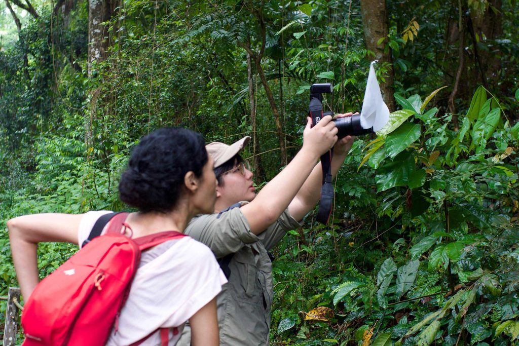Being inducted into the Way of the Spider by citizen scientist and entomologist Finn Tan LOW