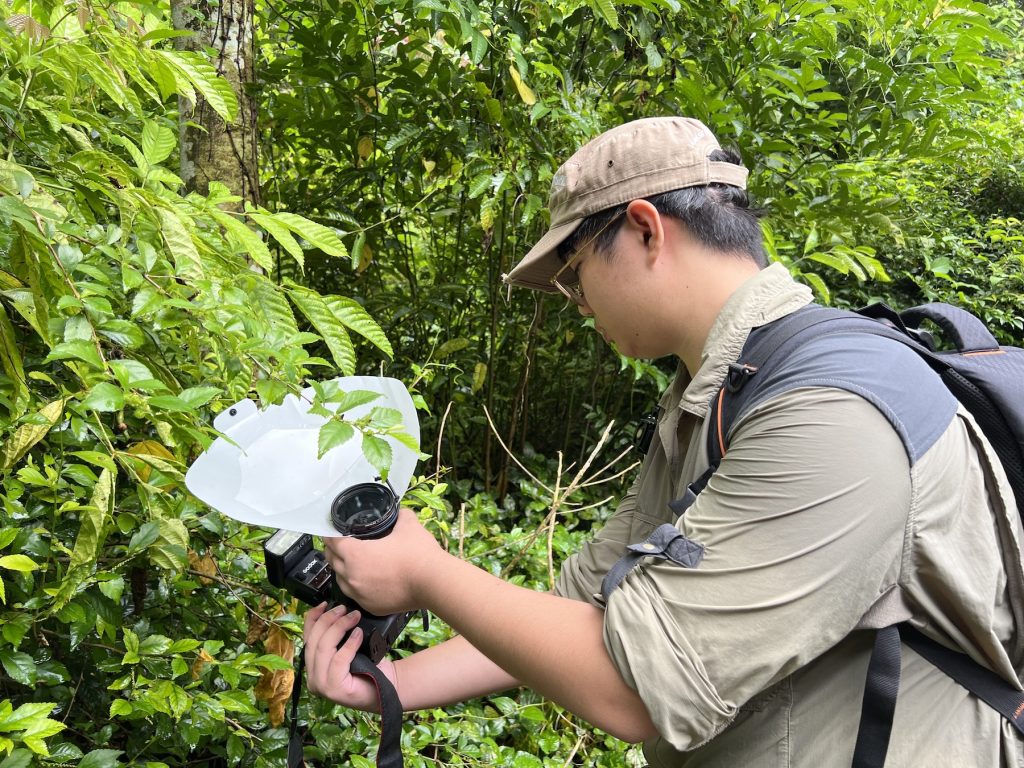 Finn Tans homemade reflector2 IMG 0115 LOW