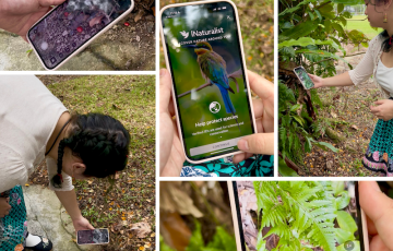 Orange Simple Winter Sunset Photo Collage LOW